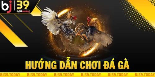 huong-dan-choi-da-ga-tai-bj39